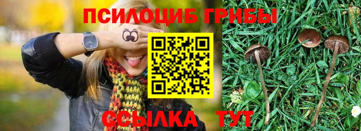 Псилоцибиновые грибы Magic Shrooms Партизанск