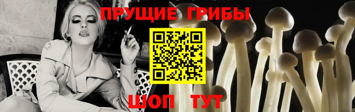 Псилоцибиновые грибы мухоморы  Вход с VPN  Галлюциногенные грибы Psilocybine cubensis  Партизанск 